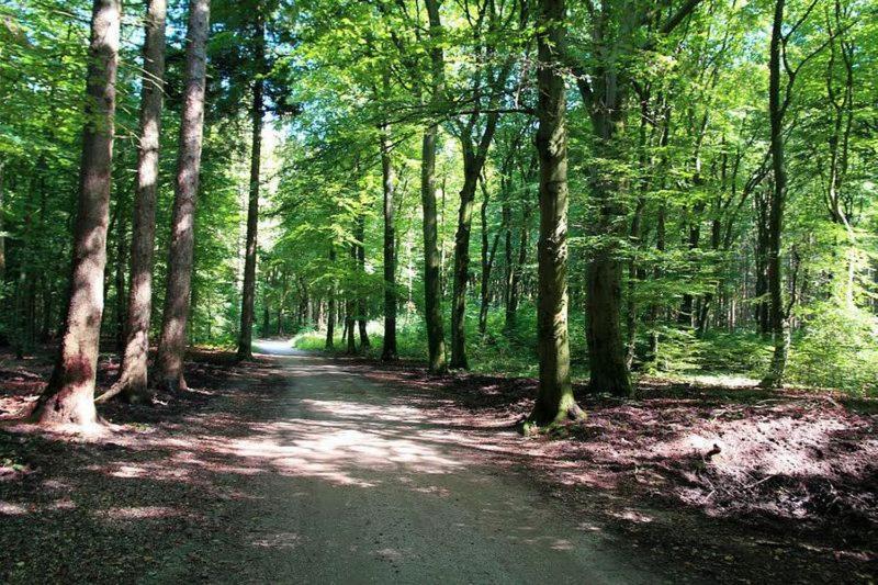 Chalet 'T Veluws Stulpje "Geniet, Ontspan En Droom Even Lekker Weg!" プッテン エクステリア 写真